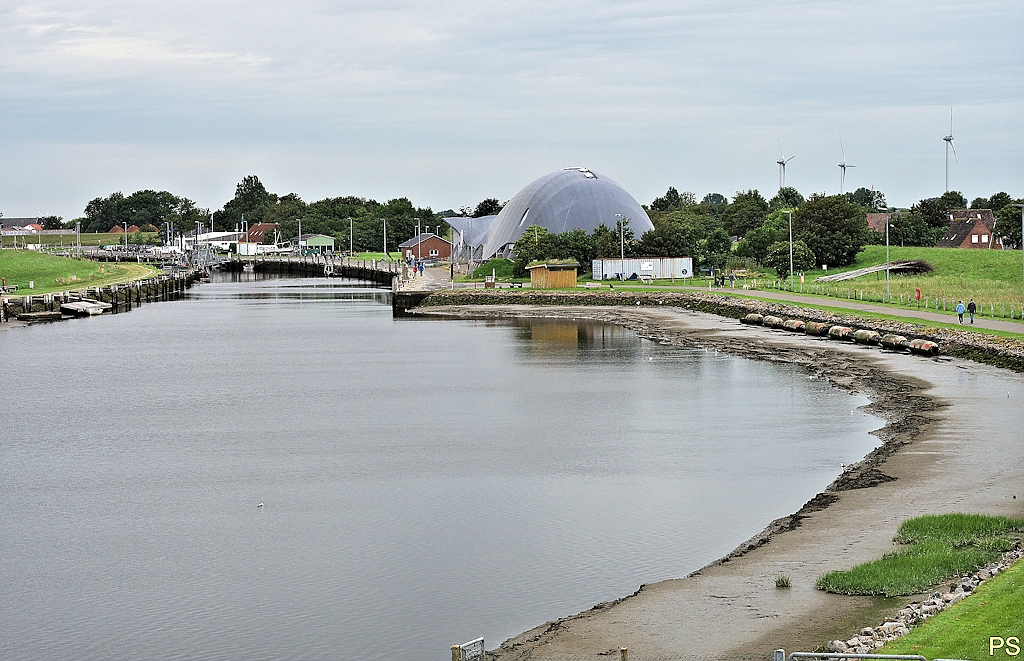 Friedrichskoog Wal1.jpg