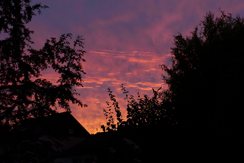 abend4816.jpg