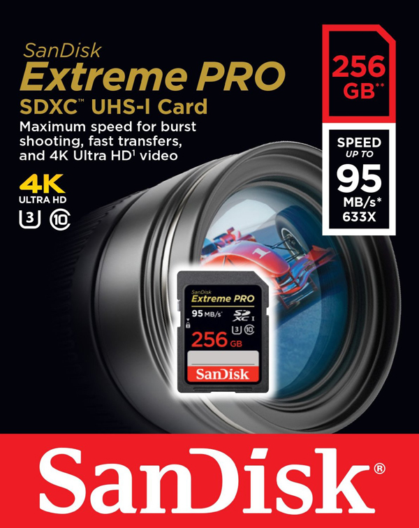 SanDisk Extreme Pro Class 10 U3 SDXC 256GB Speicherkarte.jpg