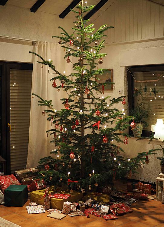 weihnachtsbaum 2016 klein.jpg