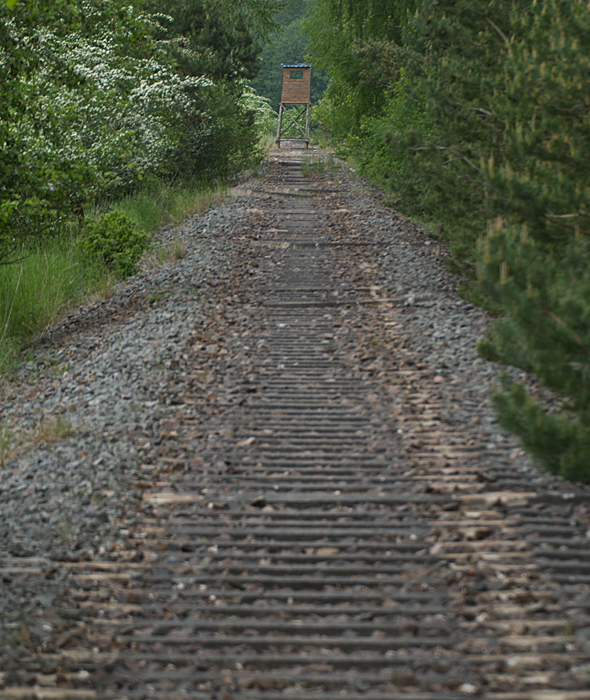 19_05_ bei Groß Sperrenwalde_stillgelegte Bahntrasse_02.jpg