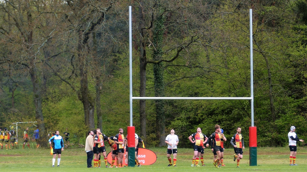 Rugby (16).jpg