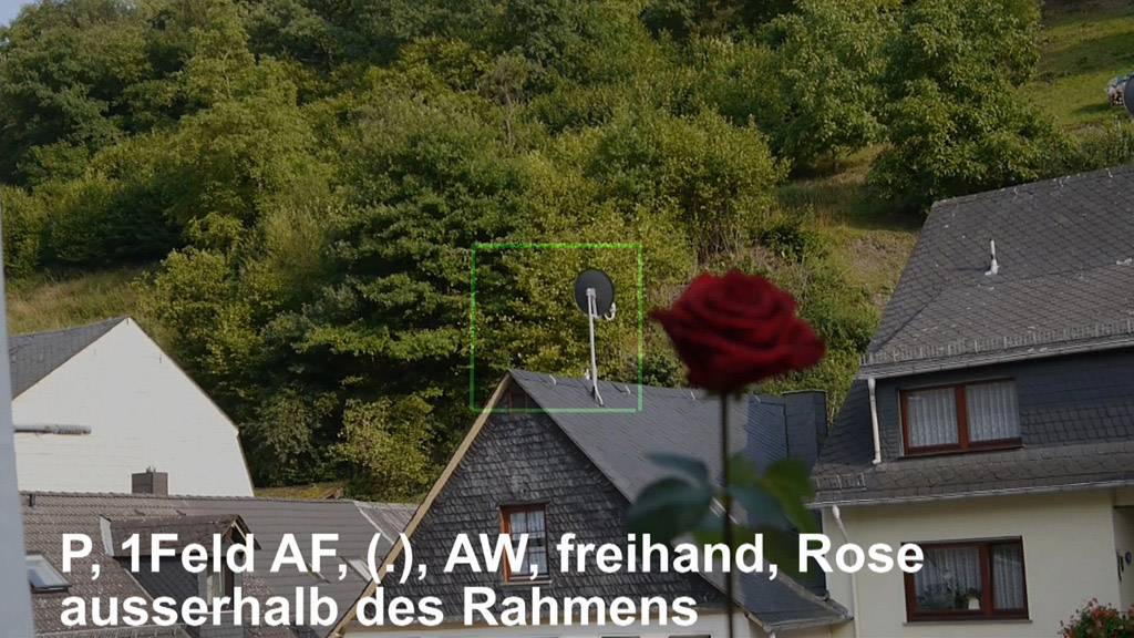 1a-p-mf-aw-freihand-rose ausserhalb des 1Feld Rahmens.jpg