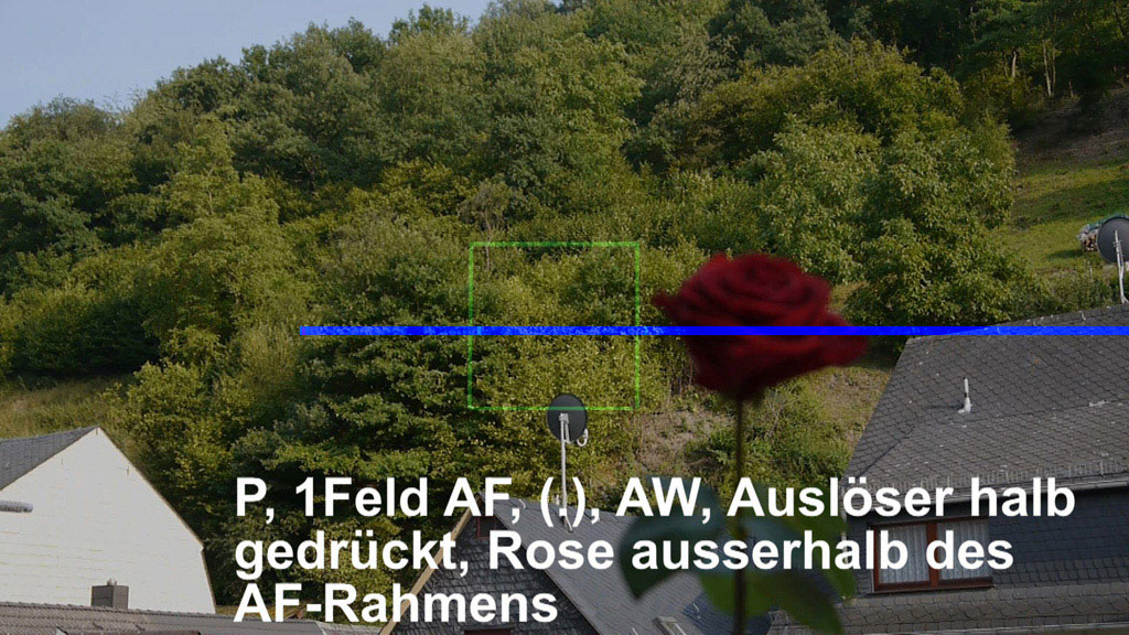 1aa-p-mf-aw-rose ausserhalb des 1Feld Rahmens Ausl halb gedr.jpg