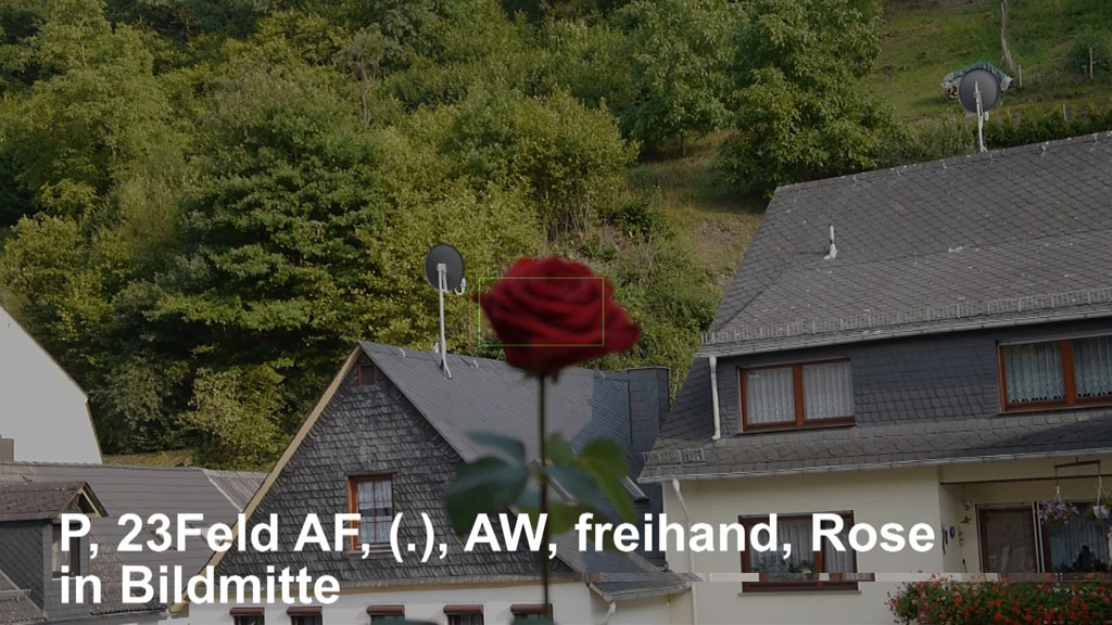 1-p-mf-aw-freihand-rose im 23Feld Rahmen.jpg