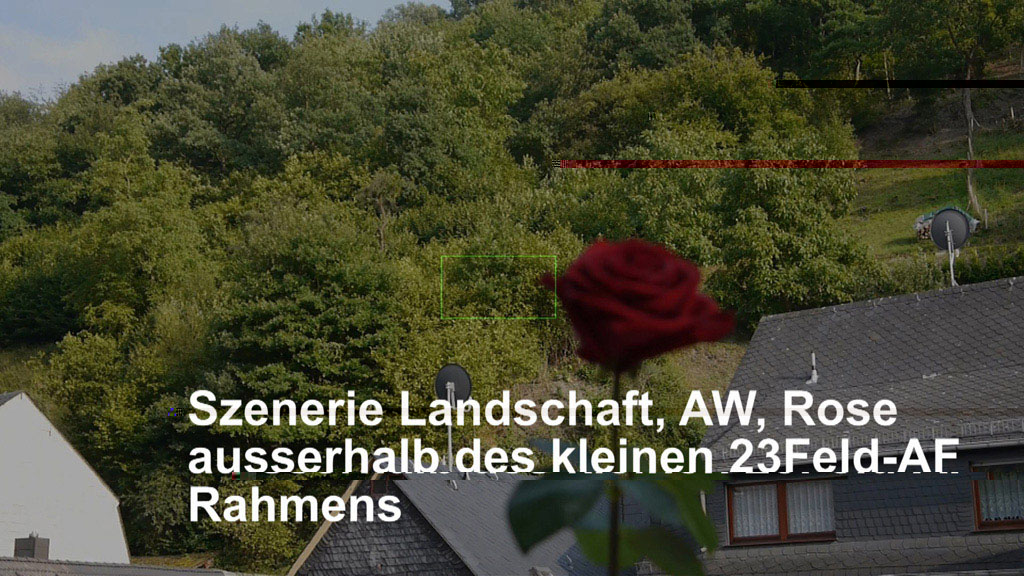 1a-1Szenerie Landschaft-aw-rose ausserhalb des 23Feld Rahmens.jpg
