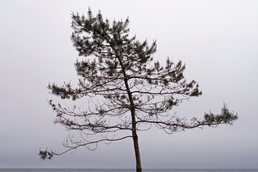P1090544.jpg