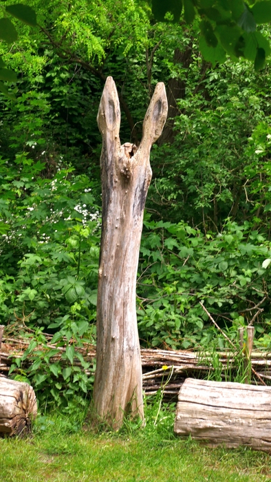 P1060135 x verkleinert.jpg
