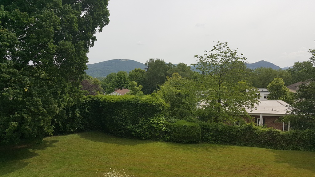 S6 20160611_122220 small.jpg