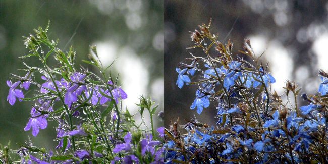 Farben.jpg