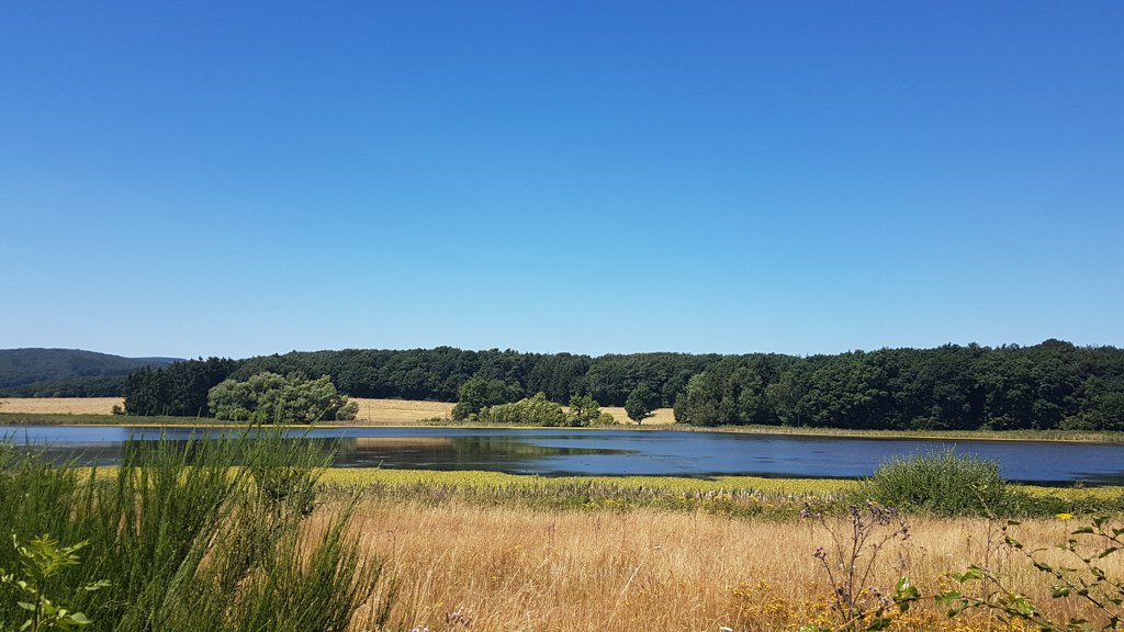 20160720_124645.jpg