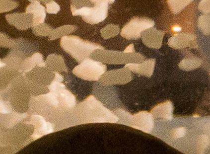 detail2.jpg