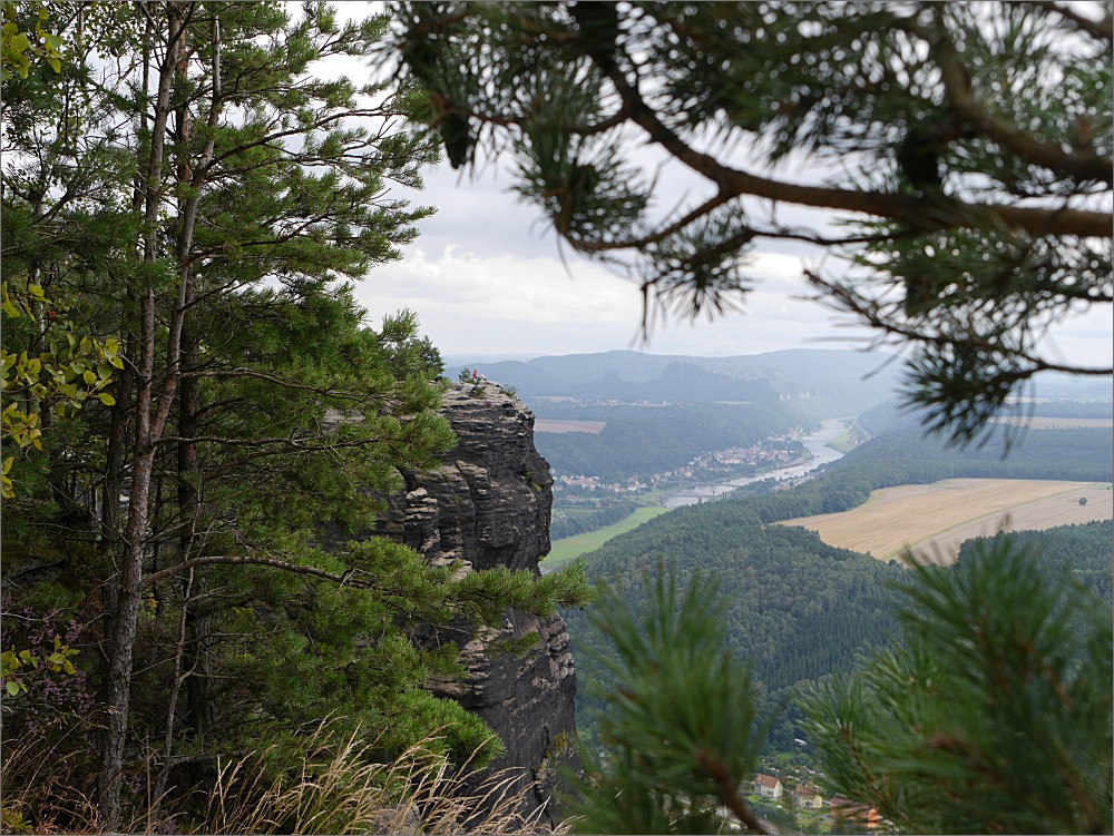 P1080774_b.jpg