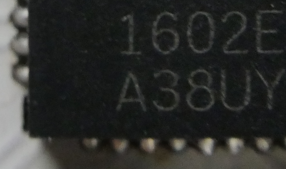 P1050509_100.jpg