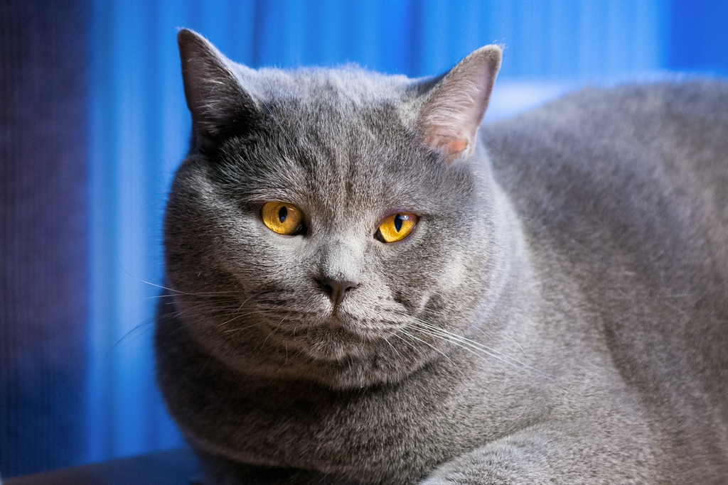 comp_Fritz 03 (P1020655).jpg