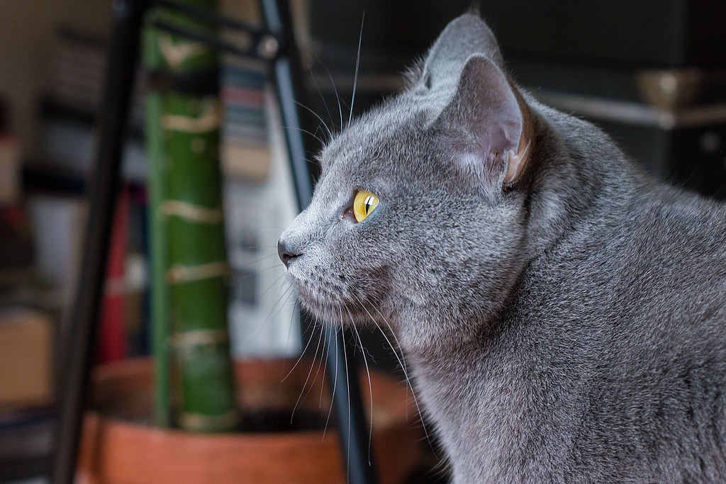 comp_Fritzi 10 (P1110074).jpg