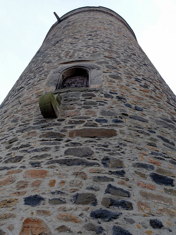 comp_palsDSC02497.jpg