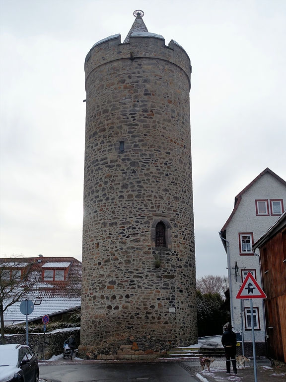 comp_palsDSC02494.jpg