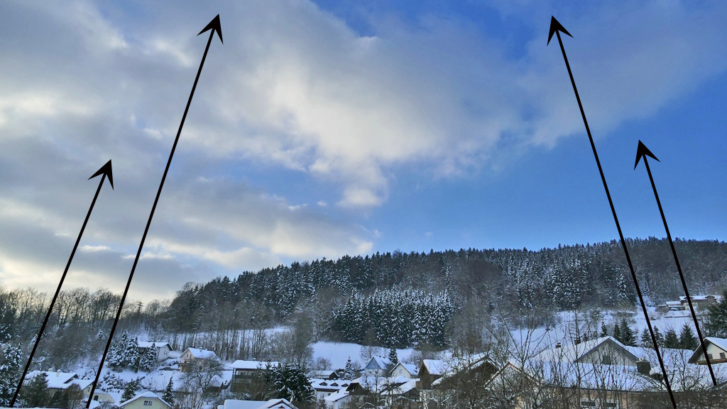 Stürzende Bäume.jpg
