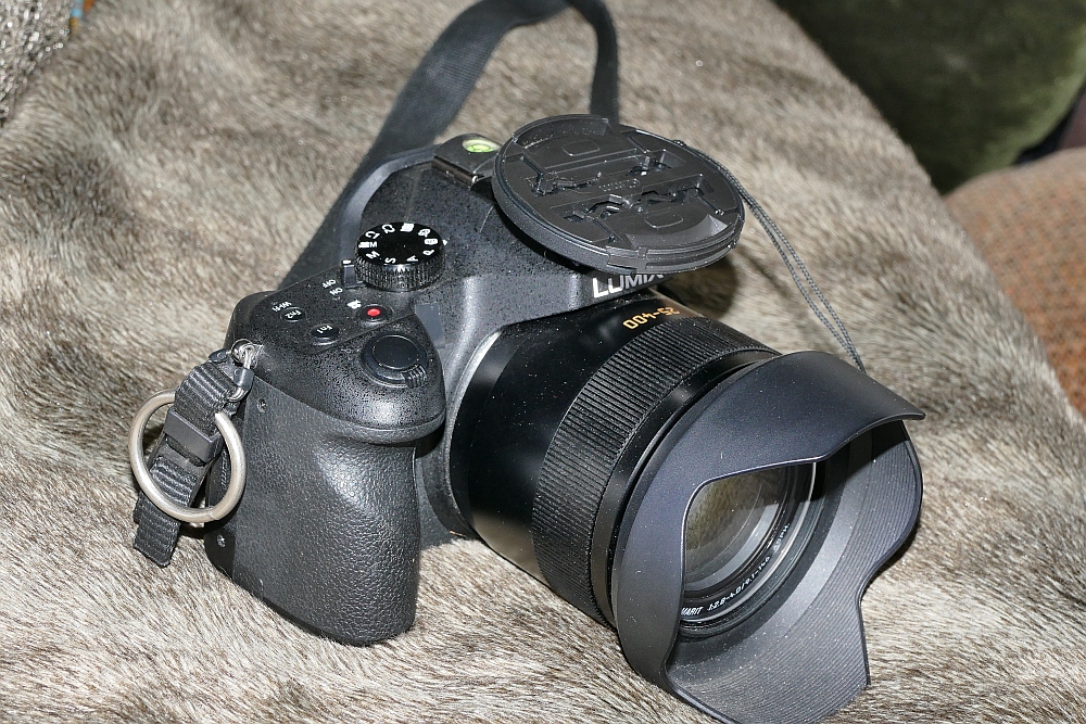 P1960129.JPG