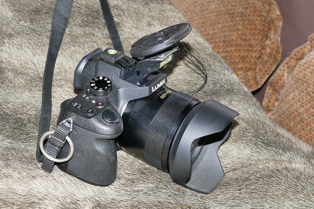 P1960131.JPG