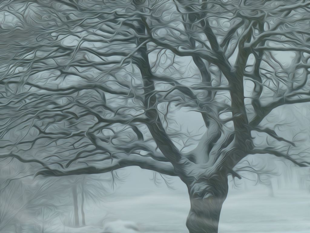 winterlicher-nebelbaum.jpg