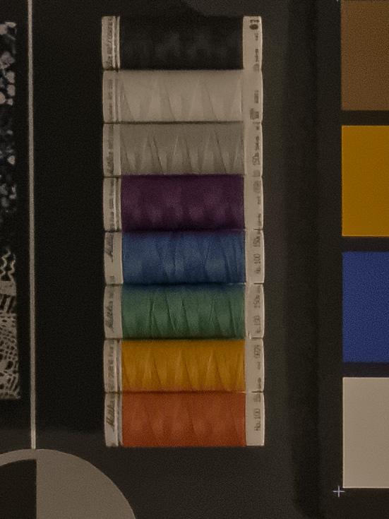 P1000632_DxO.jpg
