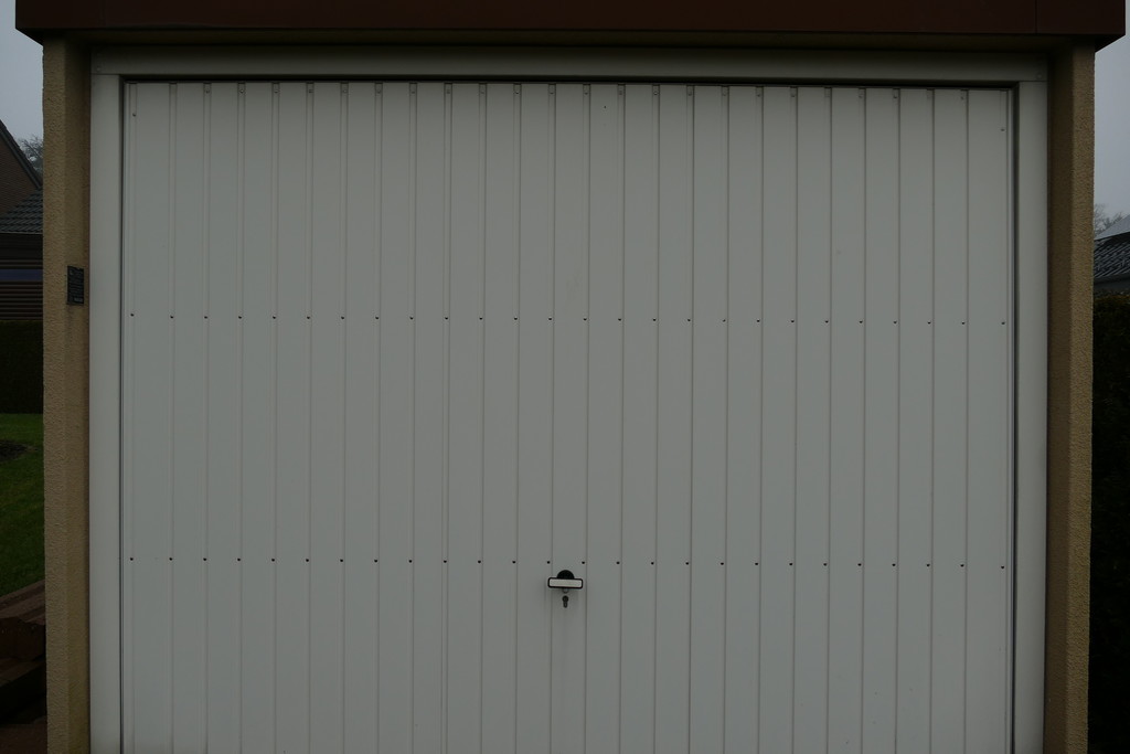 P1010342_25.jpg