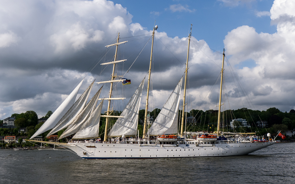 P1000683.jpg
