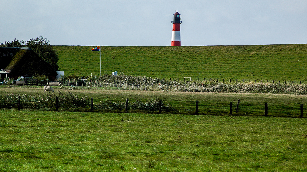 Westerhever achtern Diek.jpg