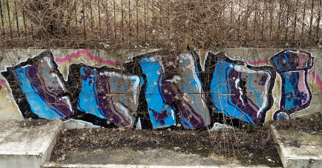 P1100869.jpg