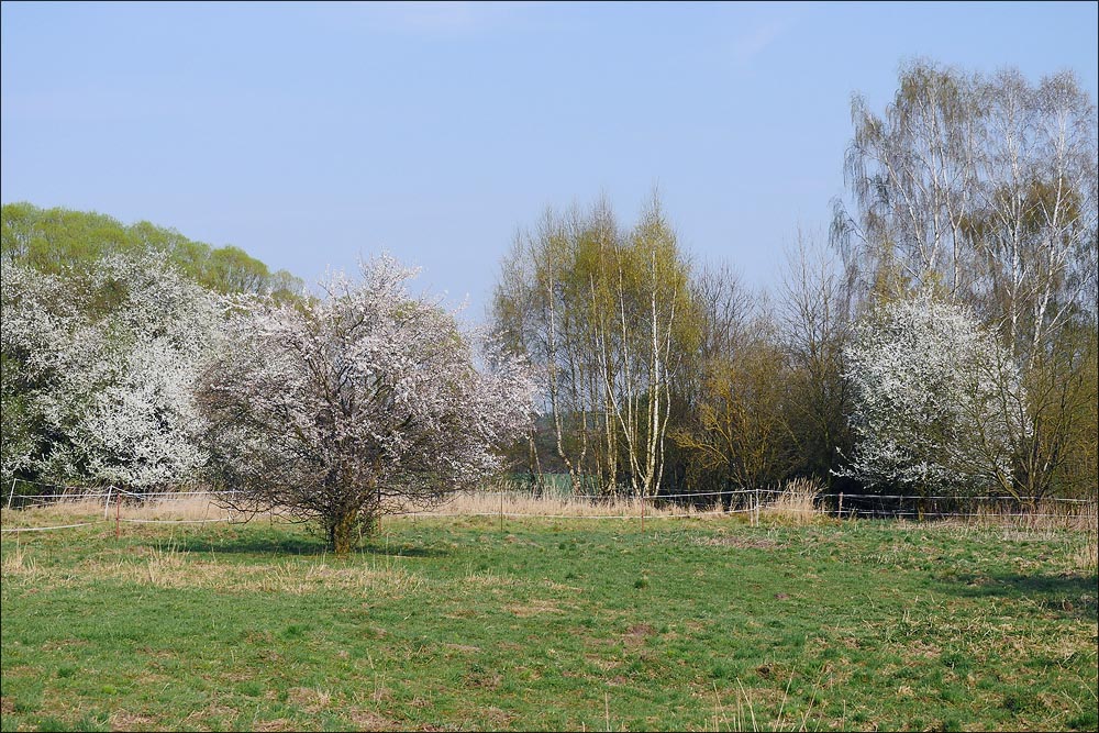 2017.04.01 Bad Belzig 087_n.jpg