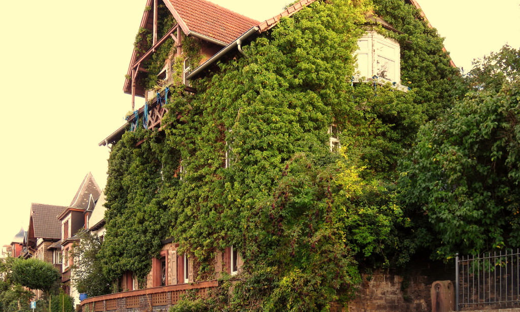 Fassade_1.jpg