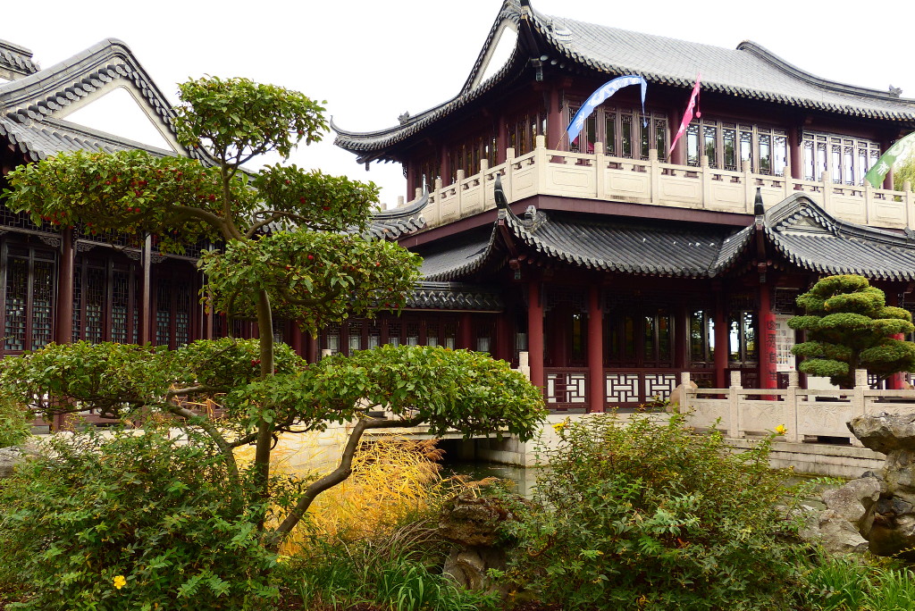 P1110008_1.JPG