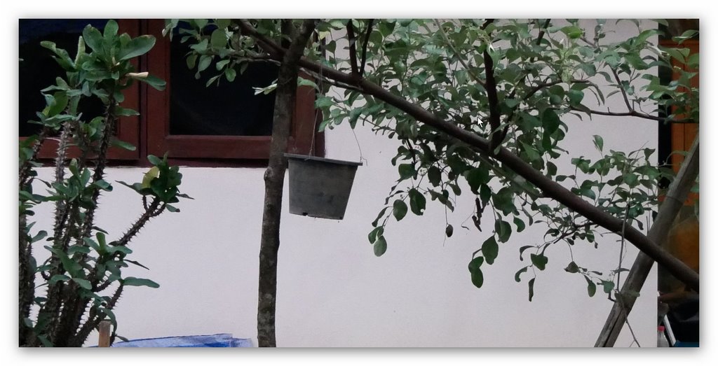 5 JPEG aus Kamera 3200 ISO (Kopie).jpg