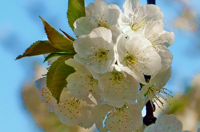 P1010275_1.JPG