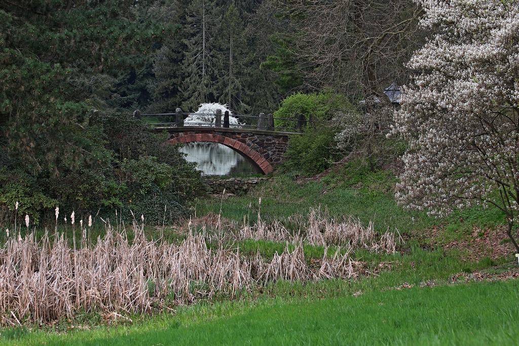 Brücke.JPG