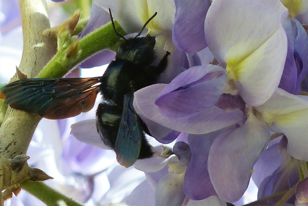 P1120253_3_1.JPG