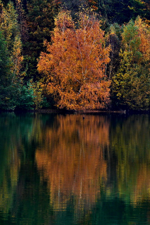 Herbst 1.JPG