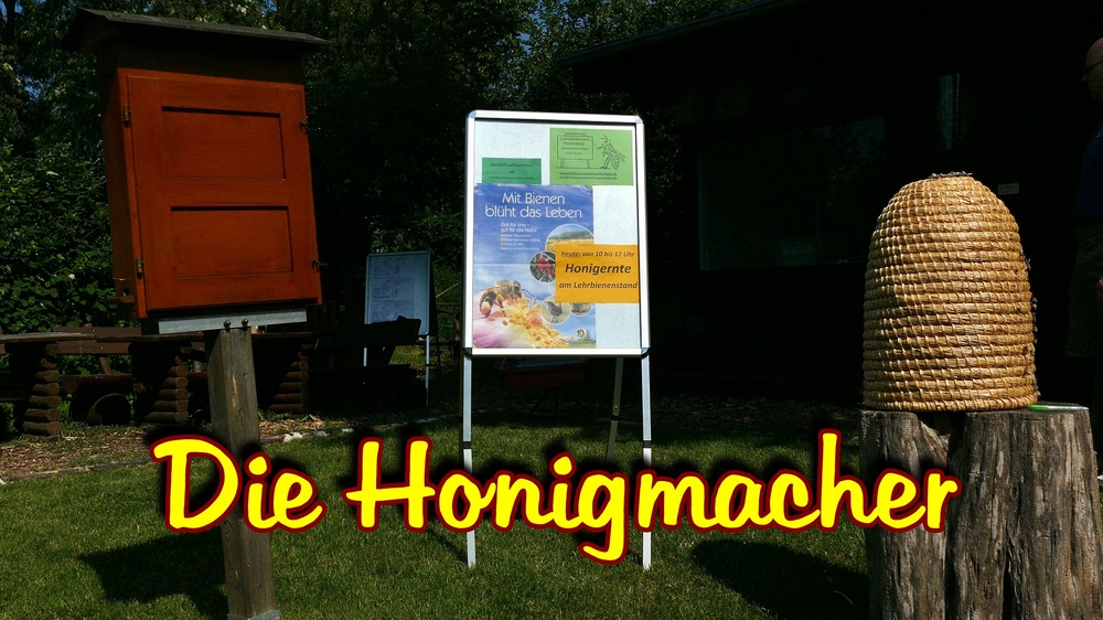 verkleinert  .Bienen30.jpg