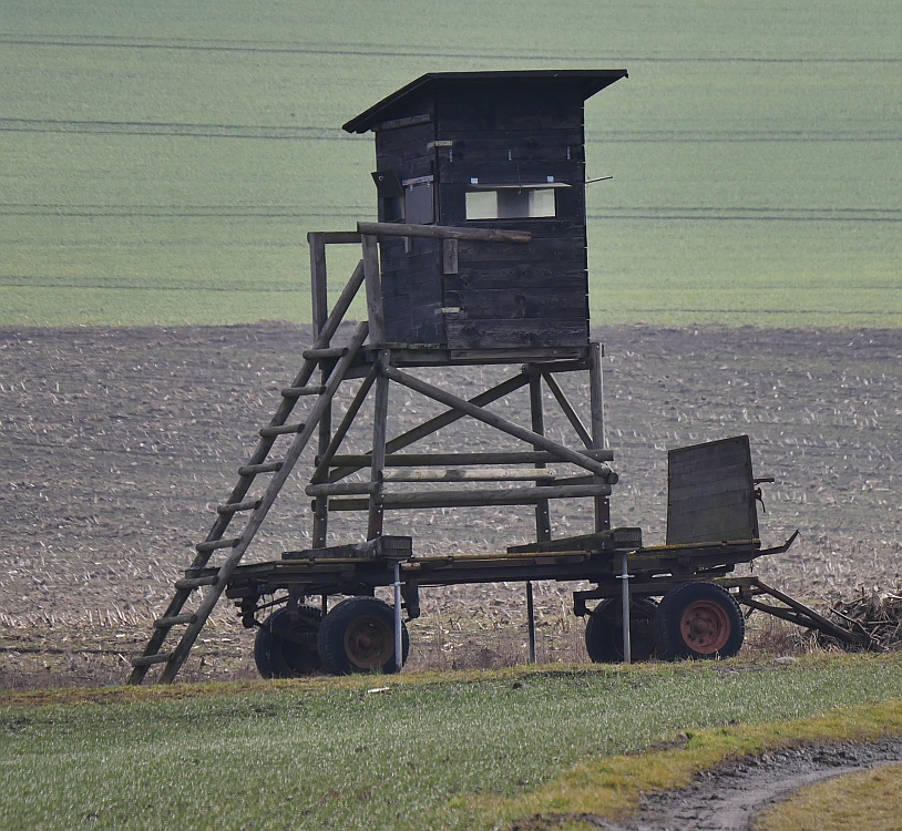 hochsitz fahrbar.jpg