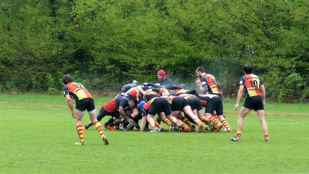 Rugby (5).jpg