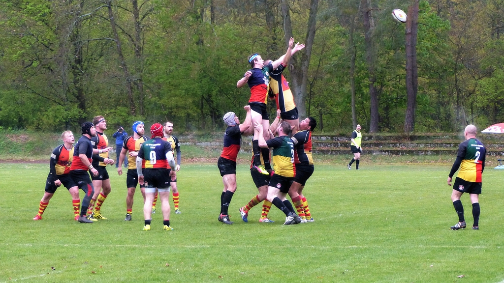 Rugby (4).jpg