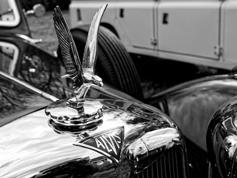 Alvis3.jpg