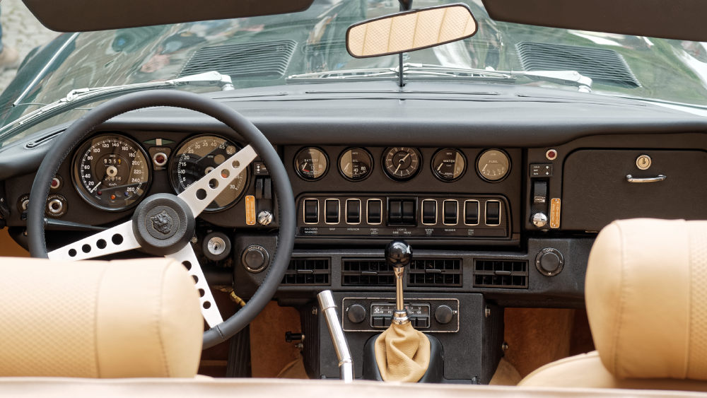 Jaguar1.jpg