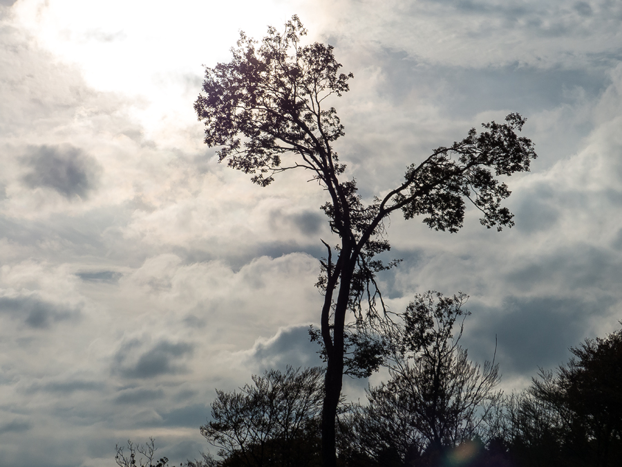 P1070485-Bearbeitet.jpg