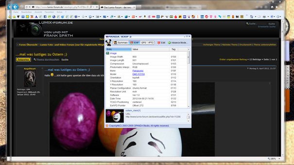 exif-panda-screen.jpg