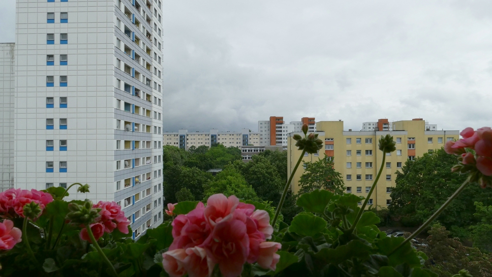 verkleinert  .P1040371 x.jpg