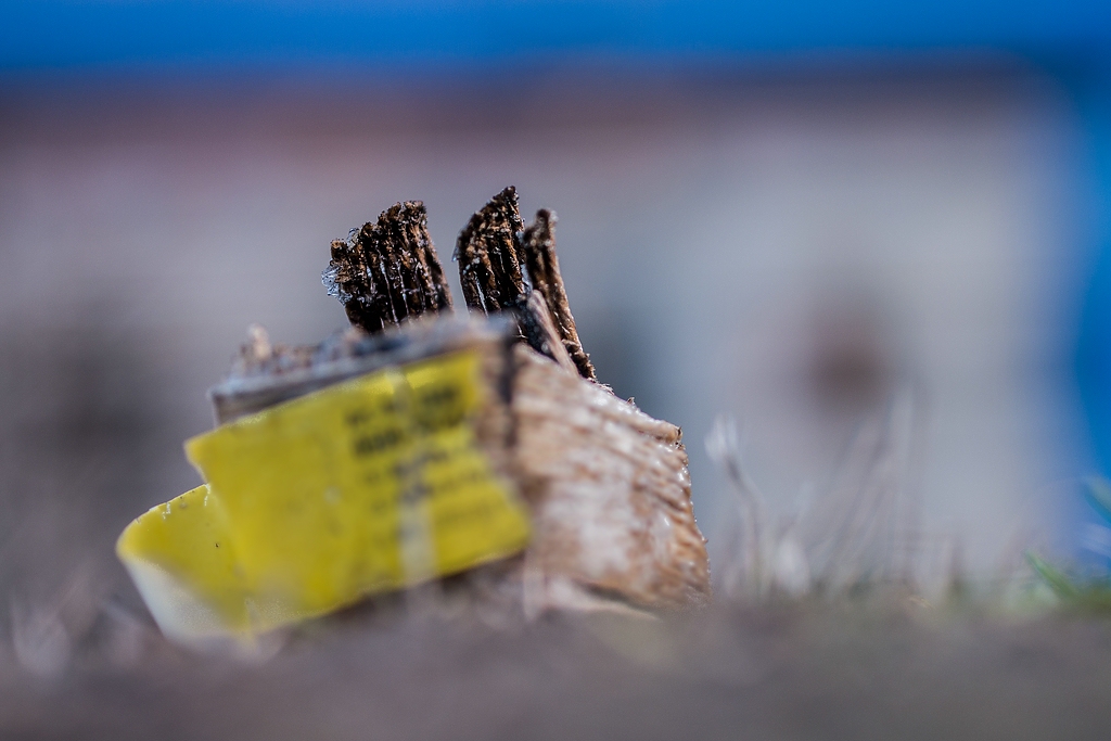 comp_Knallfrösche on Ice 01 (P1130598).jpg