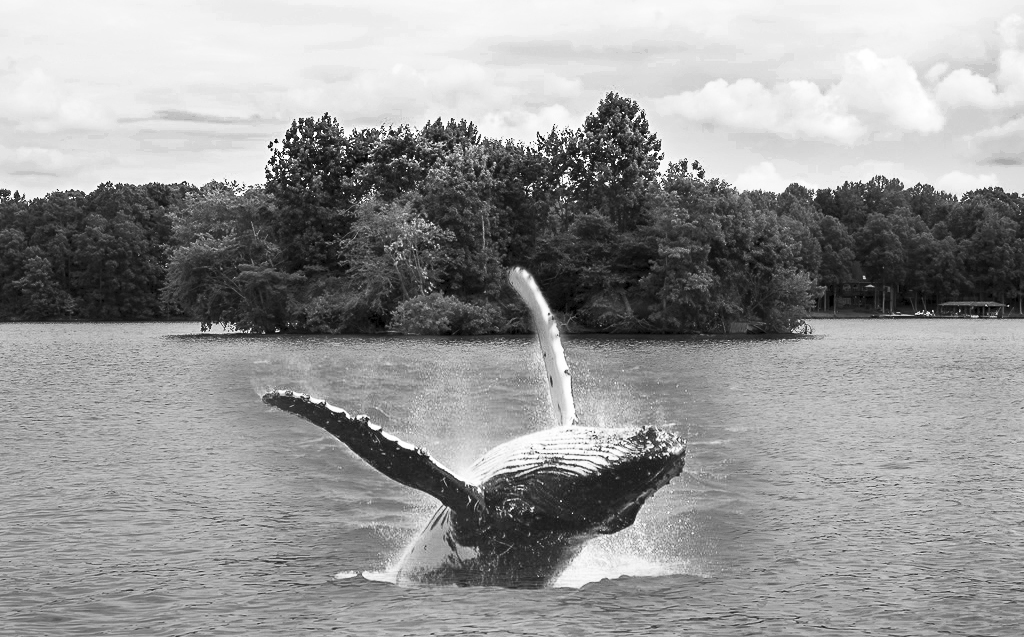 Insel-bearbeitet.jpg